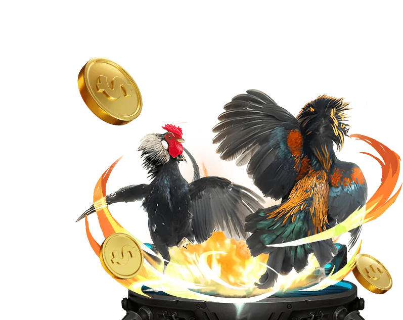 Tài liệu điều khoản và điều kiện của 58win